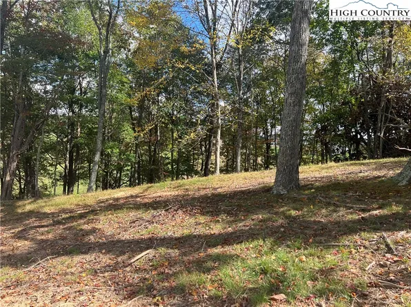 TBD Busic Ridge #6, Sparta, NC 28675