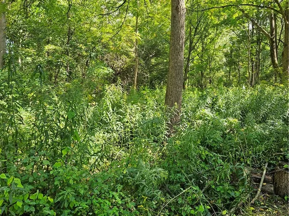 0 Lyons Marengo Rd #867, Clyde, NY 14433