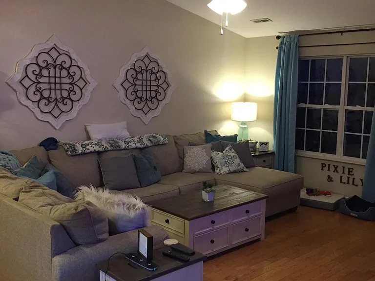 Living room (before replaced fan and floors)