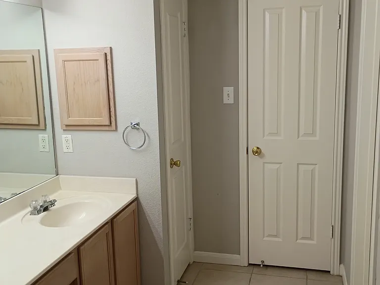 master bath with walk-in closet and linen closet