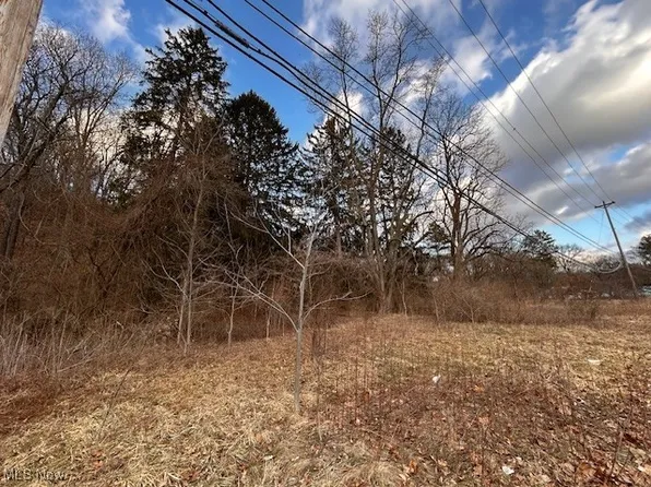 2021 Akron Peninsula Rd, Akron, OH 44313