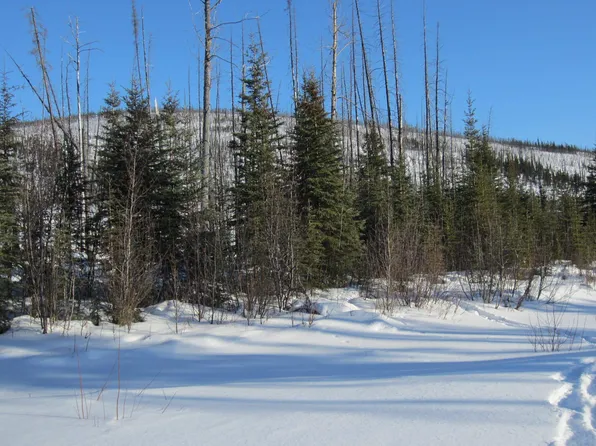 Nhn North Fork Chena Riv, Remote, AK 99712
