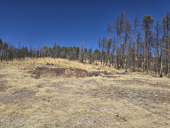 2nd image of 116 Sonora Loop