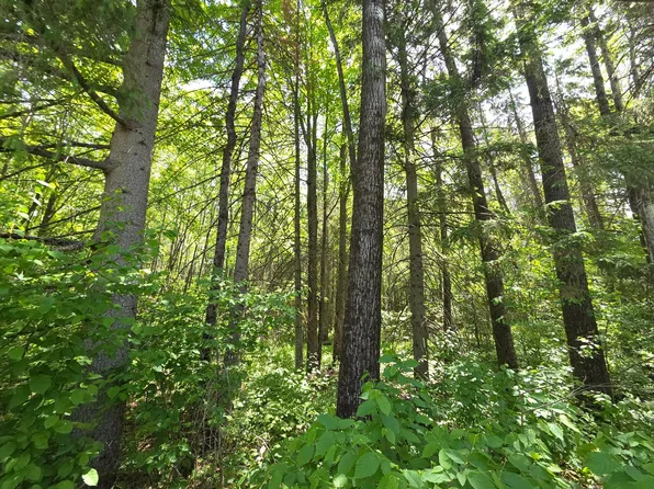 E Solberg Lake Rd Lot 6, Phillips, WI 54555