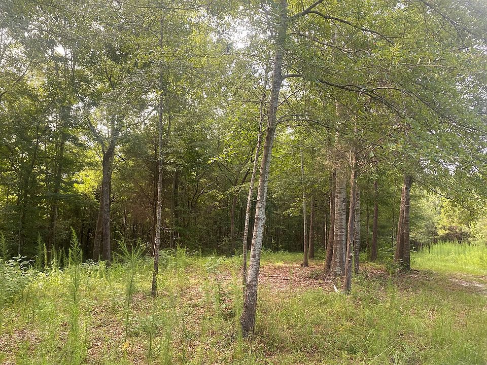 3139 County Road 72, Boligee, AL 35443 Zillow