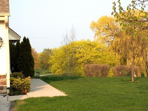 Take sidewalk behind building