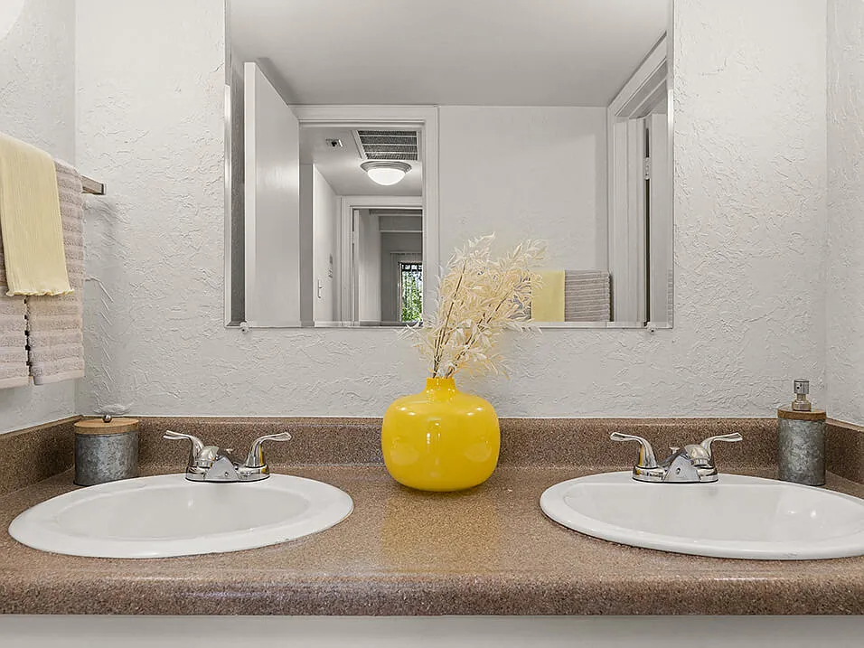 Dual Sink in Bathroom!