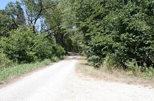 5th image of 1633 County Road 1345