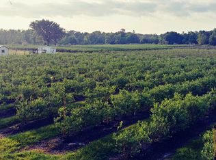 8451 Sink Hole Rd, Bartow, FL 33830