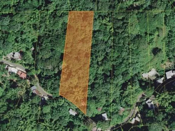 State Highway 354 Km #6.4, Mayaguez, PR 00680