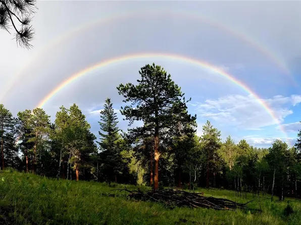 045336 S Elk Creek Road, Pine, CO 80470