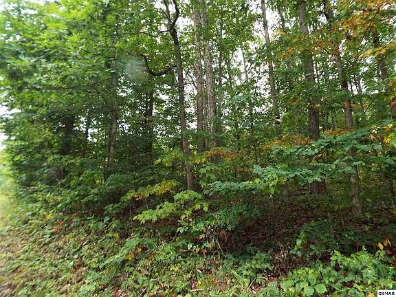 5th image of 24 Trail Way Lot 24