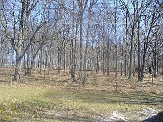 2nd image of 42600 Loni Dr