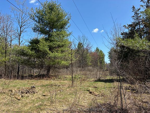 5th image of LOT 4 Leveque Rd
