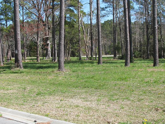 2nd image of 40 Currituck Court #Lot 112