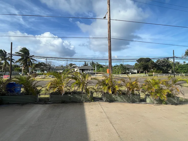56-426 Kamehameha Hwy — Photo 10