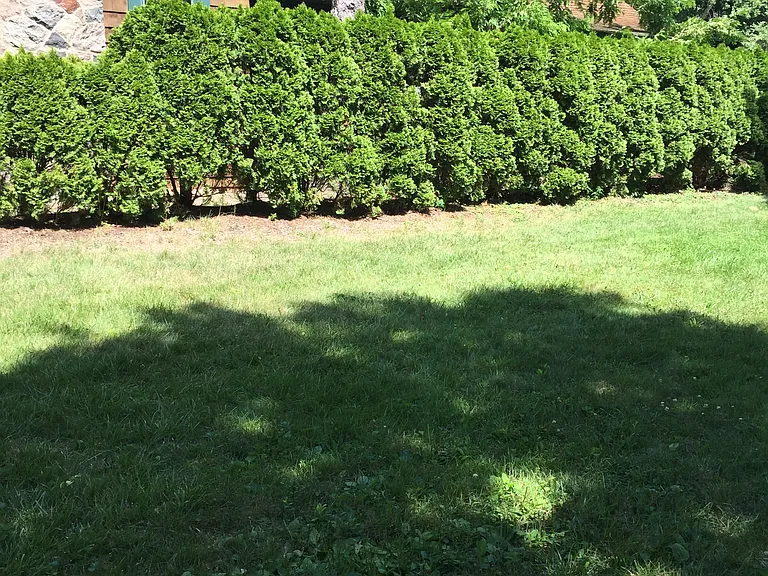 3100 Wellington Ct — Photo 8