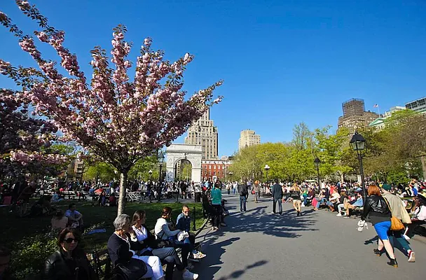 Rented by Jonis Realty | media 14