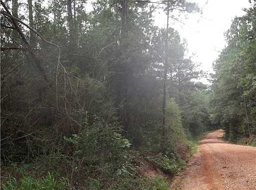 2nd image of 39458 Canaan Rd