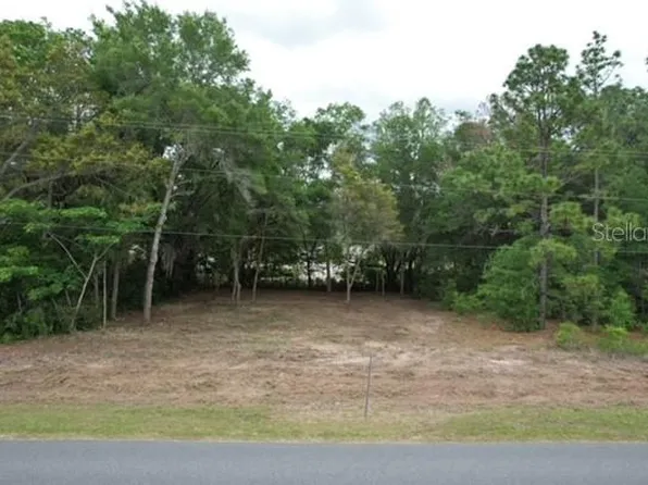 SW Beach Blvd Lot 65, Dunnellon, FL 34431