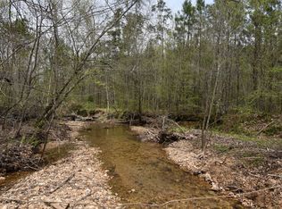 0 Roan Creek Rd, Lobelville, TN 37097