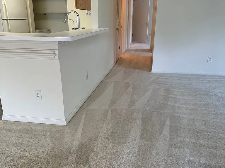 301 Settlement Dr — Photo 3