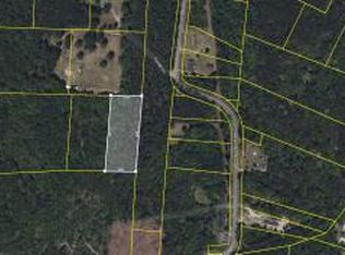 TRACT 3 Chauncey Ln, Saint Stephen, SC 29479