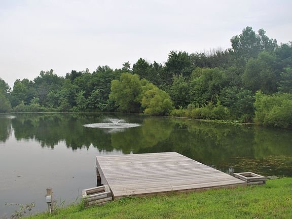 Dock on pond