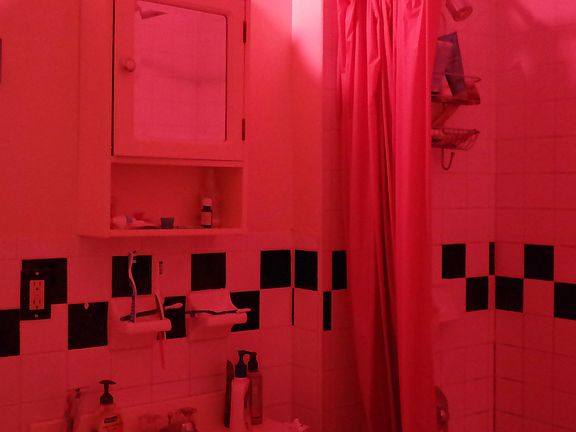 5th image of 175 Stockholm St #315