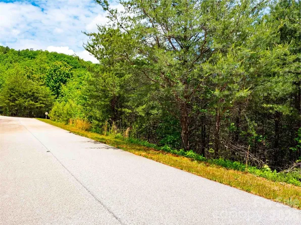 150 Birkdale Dr, Mill Spring, NC 28756