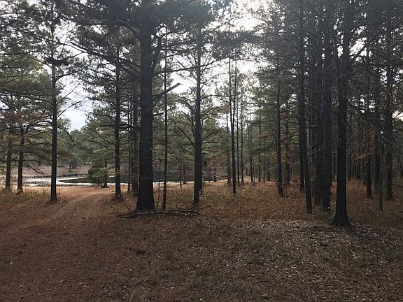 5th image of 80 Acres Judah Ln