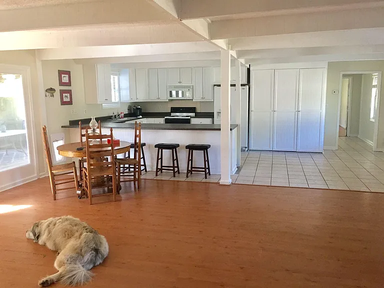 Great Room facing the Kitchen. Dog is not included! (: