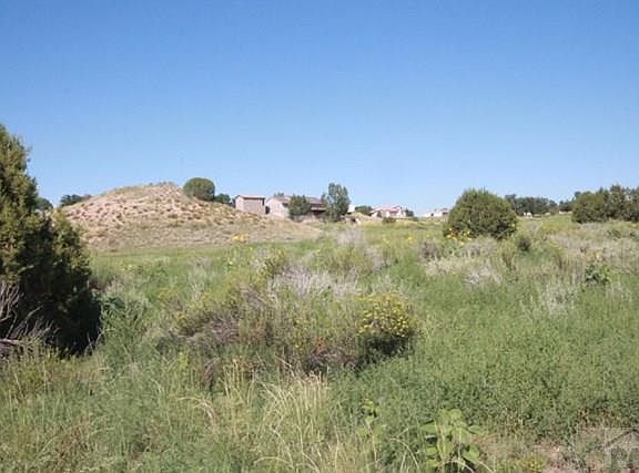 4th image of 1433 Camino De Los Ranchos Ln W