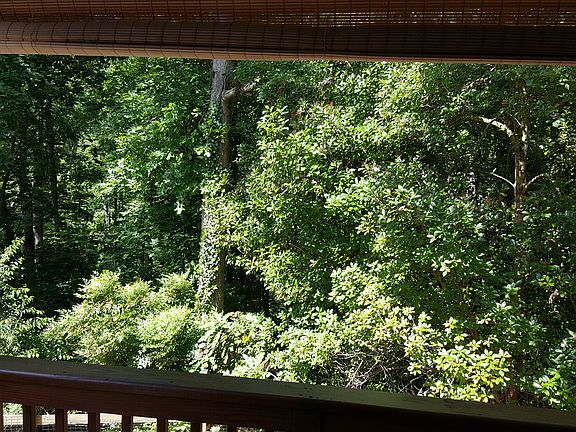 View from Covered Porch!