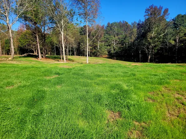 484 Naples Ln, Arab, AL 35016