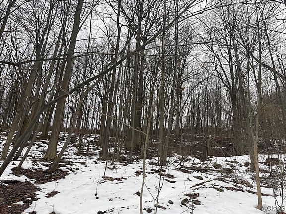 3rd image of 10673 State Route 34