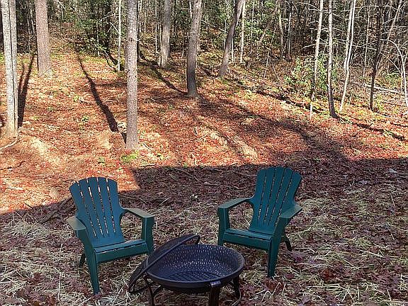 4th image of 43 Taylor Cove Ln