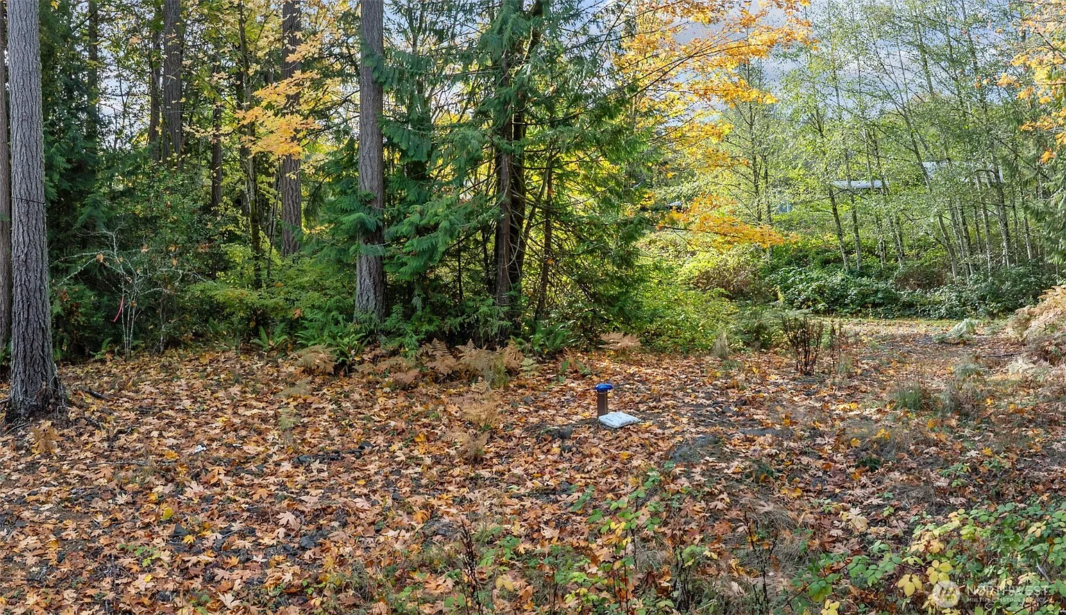 5787 E Collins Road photo 1