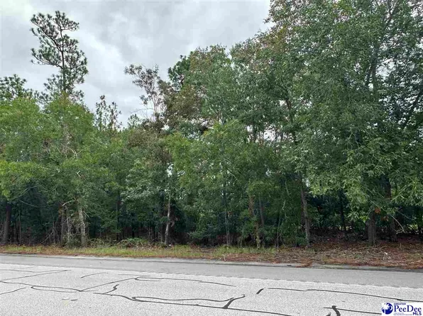 151 Highway, Hartsville, SC 29550