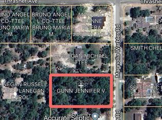 16183 Magnolia Warbler Rd, Weeki Wachee, FL 34614