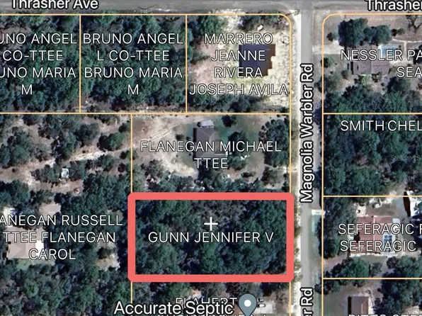 16183 Magnolia Warbler Rd, Weeki Wachee, FL 34614