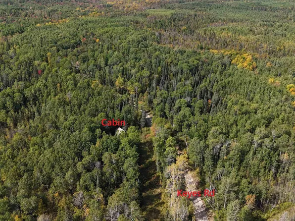 12012 Keyes Rd, Orr, MN 55771