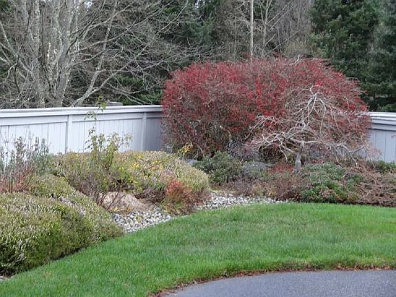 Plenty of yard for a pet