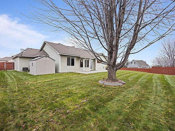 Backyard/Shed