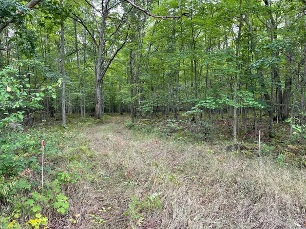 Redwood Rd, Roscommon, MI 48653