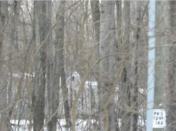 13275 Sand Hill Ave NE, Cedar Springs, MI 49319