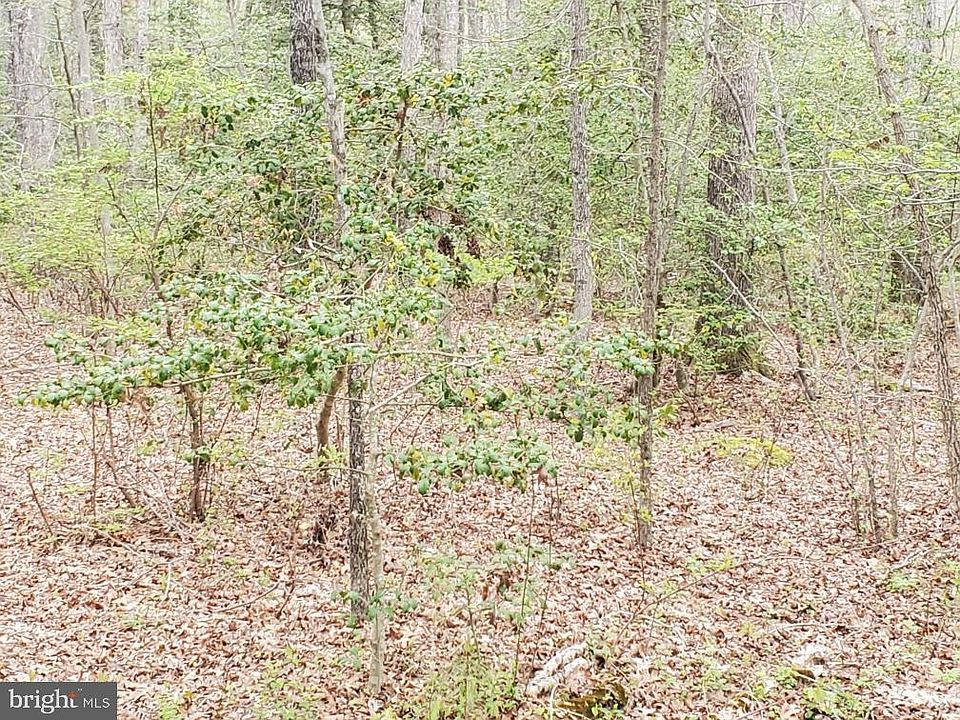 2nd image of 23423 Lawrence Hayden Rd