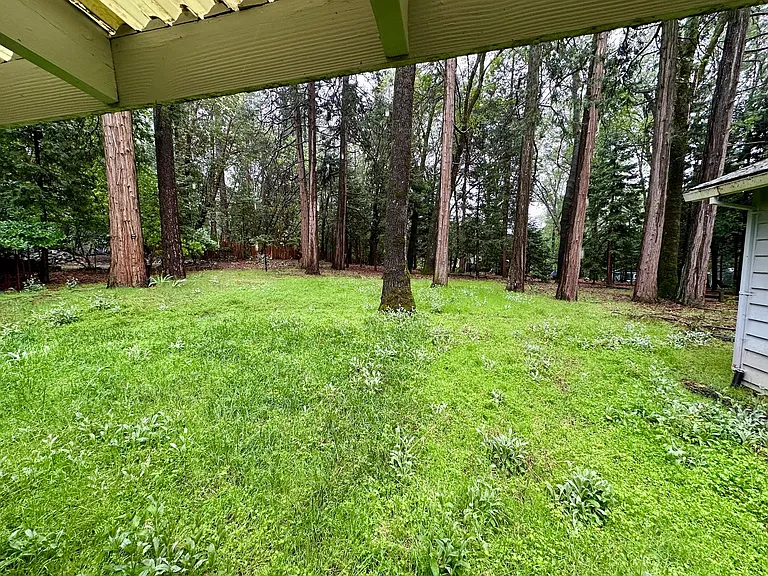 12725 Banner Lava Cap Rd — Photo 7