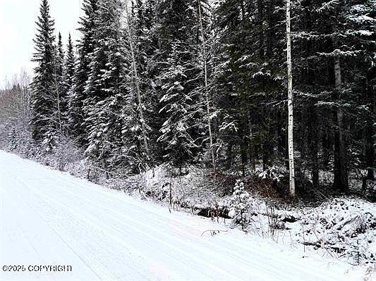 4th image of 0 Chena Hot Springs Rd