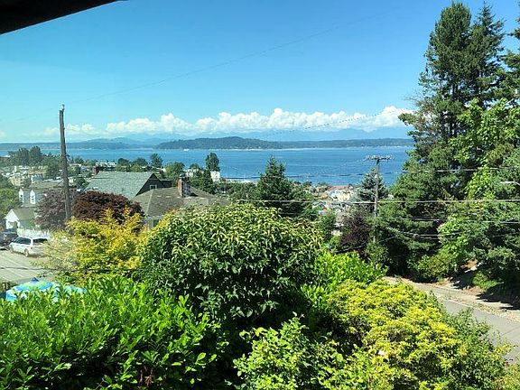 Living Room window view